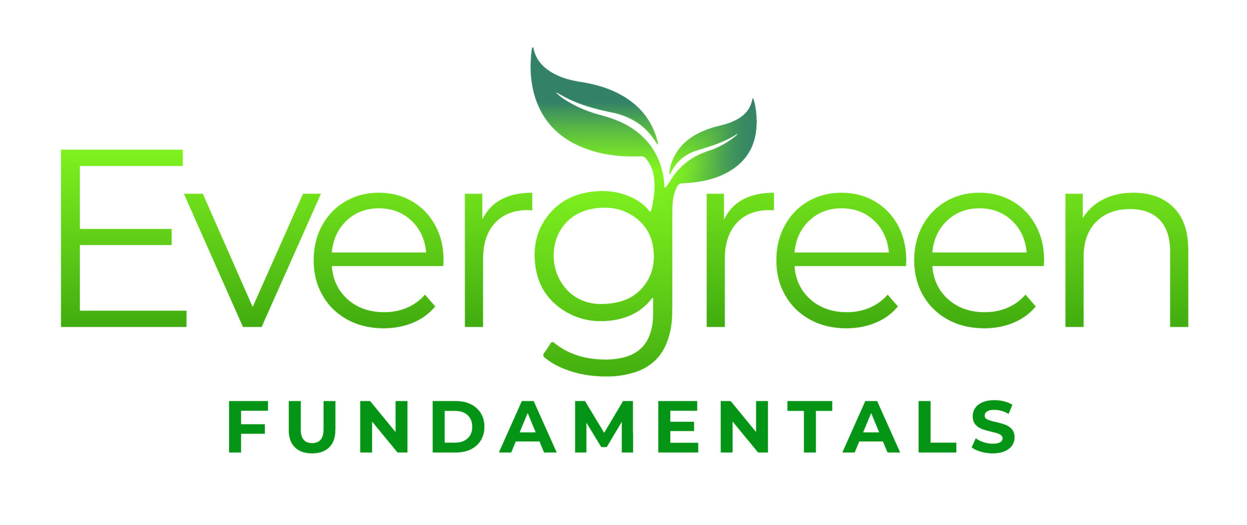 Evergreen Fundamentals : Natural Skincare for Skin That's Lived a Little!