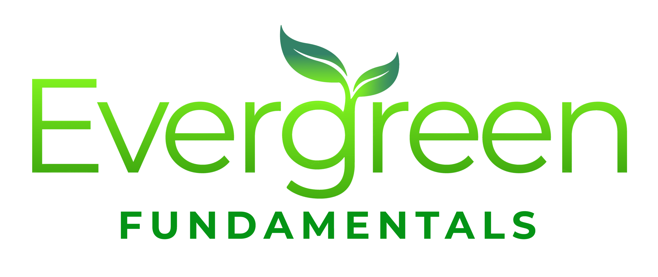 Evergreen Fundamentals : Natural Skincare for Skin That's Lived a Little!